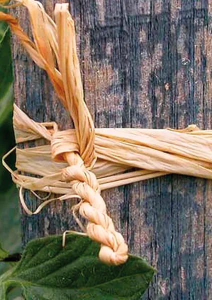 Matériel de jardinage - Pelote Raphia - Naturel - MEDIA_EN_SITUATION_2