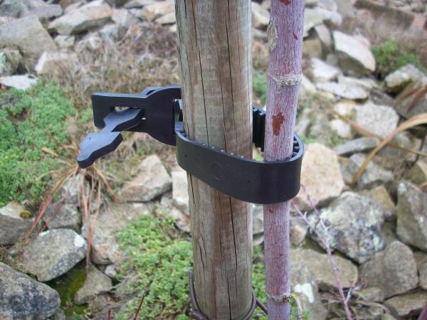 Matériel de jardinage - Lien en Caoutchouc - 40 cm - face recto