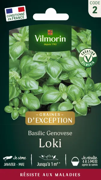 Aromatiques - Basilic Loki - Graines d'Exception - PACKAGING_RECTO