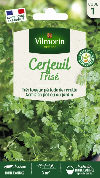 Aromatiques - Cerfeuil Frisé - PACKAGING_RECTO