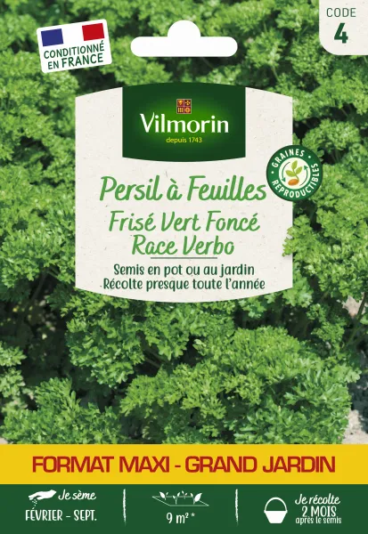 Aromatiques - Persil Frisé Vert Foncé race Verbo - Grand Modèle - face recto