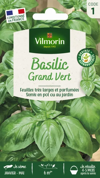 Aromatiques - Basilic Grand Vert - PACKAGING_RECTO