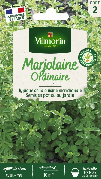 Aromatiques - Marjolaine Annuelle - face recto
