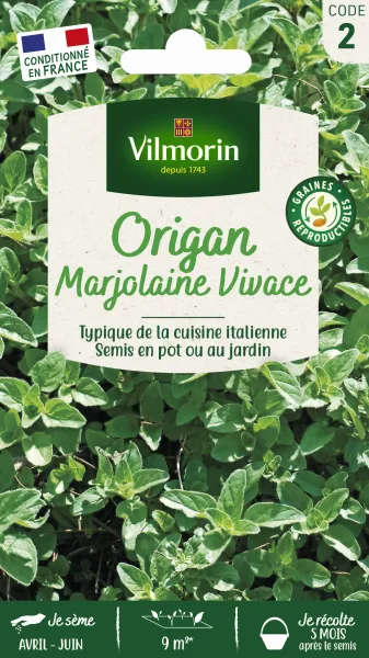 Aromatiques - Origan - Marjolaine Vivace - PACKAGING_RECTO