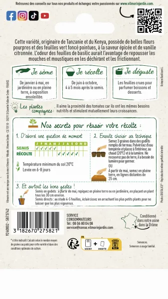 Aromatiques - Basilic Blue Spice - Cuisine du Monde - MEDIA_PACKAGING_VERSO