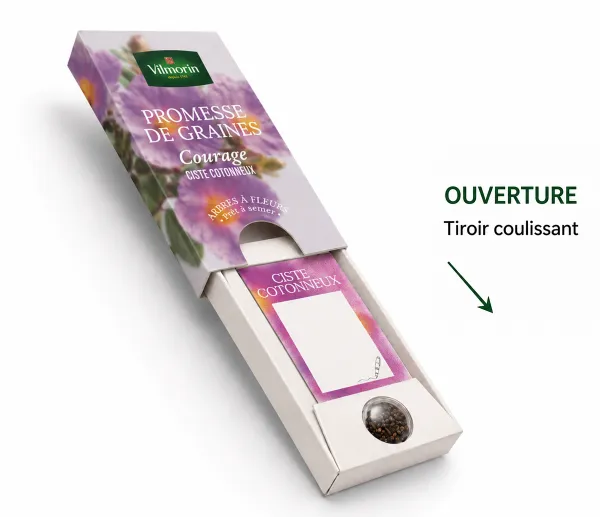 Arbres - Ciste Cotonneux - Courage - MEDIA_EN_SITUATION_1
