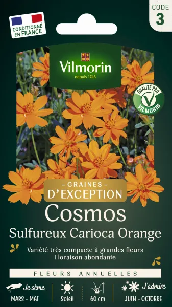 Fleurs - Cosmos Sulphureus Carioca - Graines d'Exception - face recto