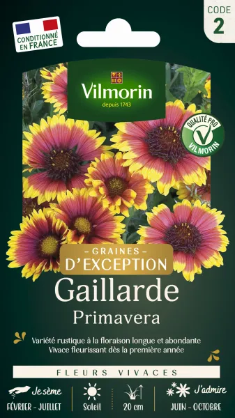 Fleurs - Gaillarde Primavera - Graines d'Exception - PACKAGING_RECTO