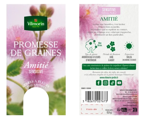 Arbres - Sensitive - Amitié - PACKAGING_RECTO