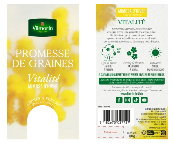 Arbres - Mimosa d'Hiver - Vitalité - PACKAGING_RECTO