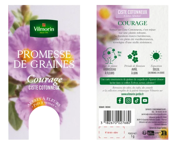 Arbres - Ciste Cotonneux - Courage - PACKAGING_RECTO