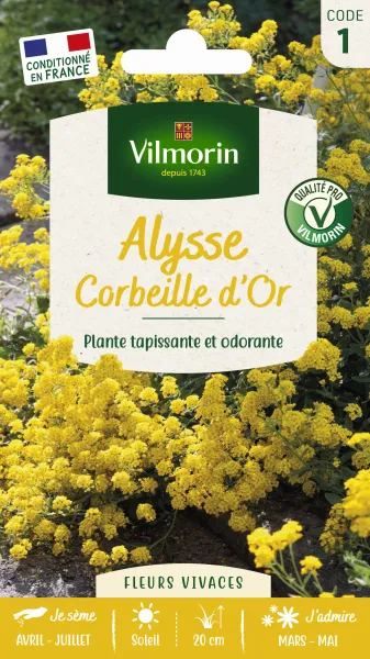 Fleurs - Alysse Corbeille d'Or - PACKAGING_RECTO