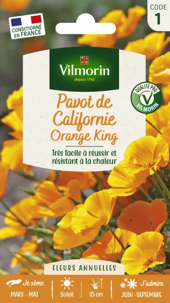 Fleurs - Pavot de Californie Orange King - face recto