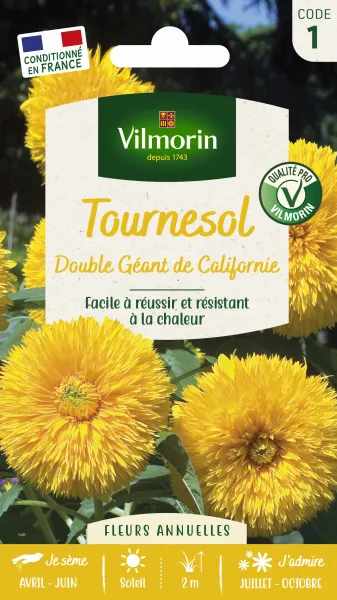 Fleurs - Tournesol Double Géant de Californie - PACKAGING_RECTO