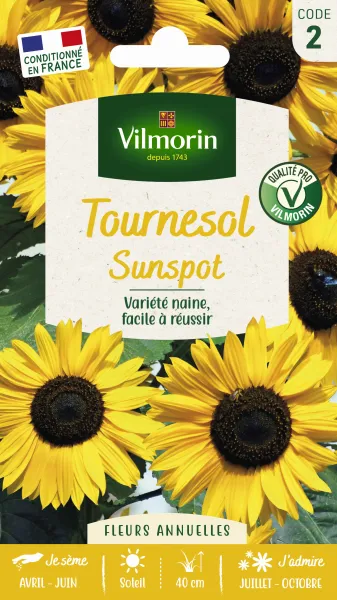Fleurs - Tournesol Nain Sunspot - PACKAGING_RECTO