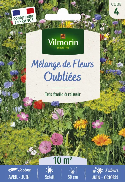 Mélanges de fleurs - Fleurs Oubliées - 10 m² - Mélange de fleurs - face recto