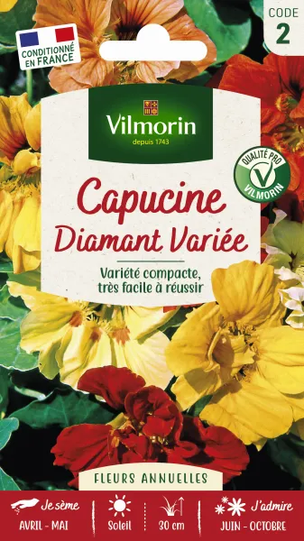 Fleurs - Capucine diamant variée - face recto