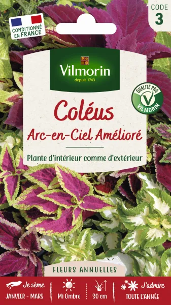 Fleurs - Coléus Arc-en-Ciel Amélioré - PACKAGING_RECTO