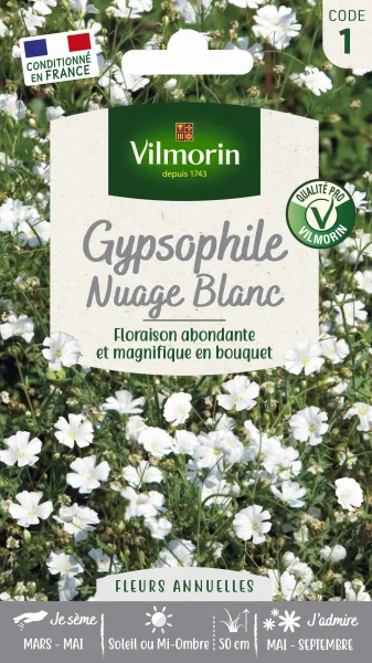 Fleurs - Gypsophile Nuage Blanc - PACKAGING_RECTO