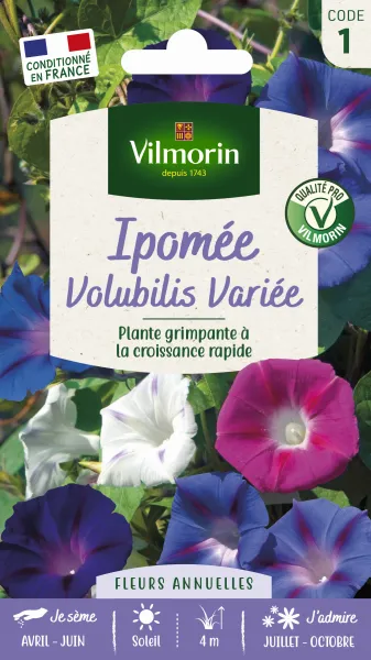 Fleurs - Ipomée Volubilis Variée  - PACKAGING_RECTO