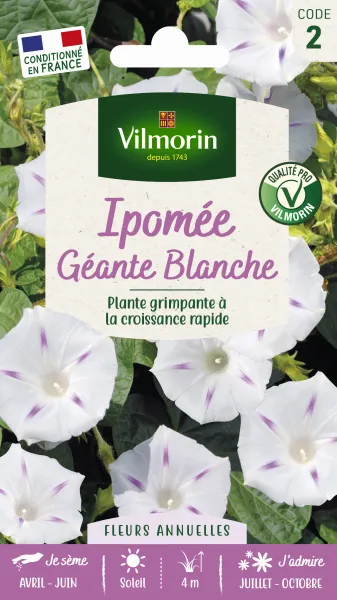 Fleurs - Ipomée Géante Blanche - PACKAGING_RECTO