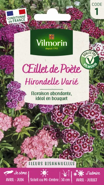 Fleurs - Œillet de Poète Hirondelle Varié - face recto
