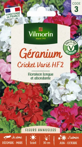 Fleurs - Géranium Cricket Varié - face recto