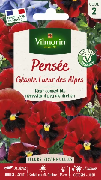 Fleurs - Pensée Géante Lueur des Alpes - PACKAGING_RECTO