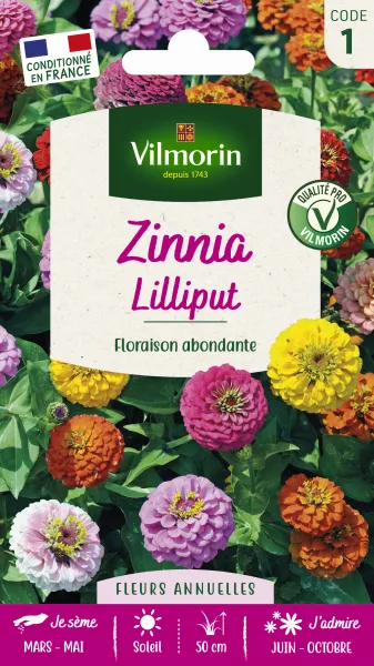 Fleurs - Zinnia Nain Lilliput - face recto