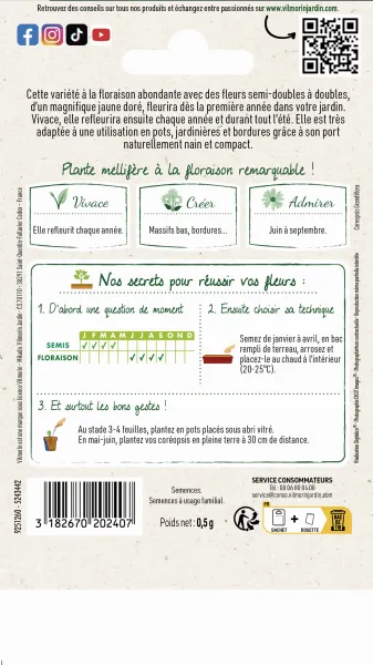 Fleurs - Coréopsis Presto - Graines d'Exception - MEDIA_PACKAGING_VERSO