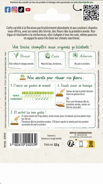 Fleurs - Gaillarde Primavera - Graines d'Exception - MEDIA_PACKAGING_VERSO