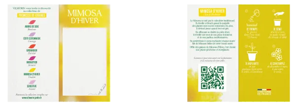 Arbres - Mimosa d'Hiver - Vitalité - MEDIA_PACKAGING_VERSO