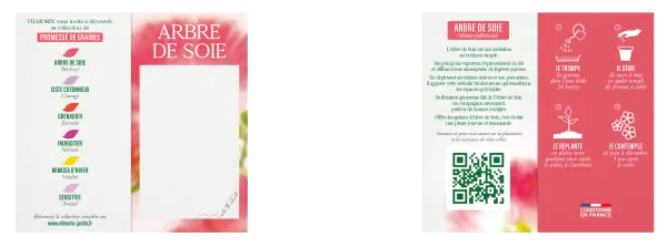 Arbres - Arbre à Soie (Albizia) - Bonheur - MEDIA_PACKAGING_VERSO