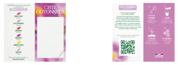 Arbres - Ciste Cotonneux - Courage - MEDIA_PACKAGING_VERSO