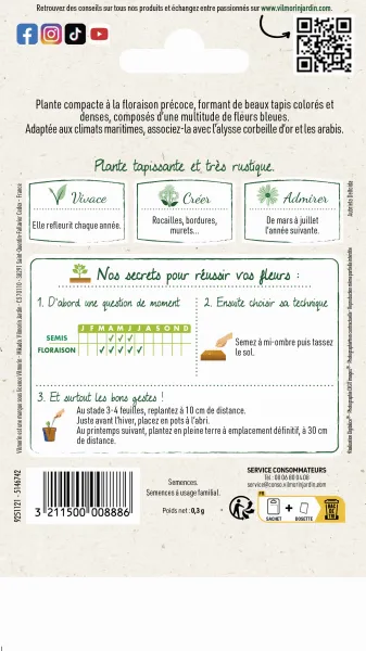 Fleurs - Aubriétia Roi des Bleus - MEDIA_PACKAGING_VERSO