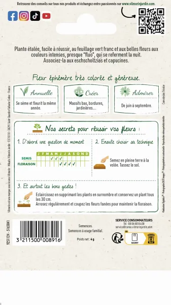 Fleurs - Belle de Jour Variée - MEDIA_PACKAGING_VERSO