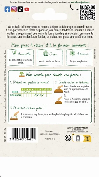Fleurs - Pois de Senteur Buisson Varié - MEDIA_PACKAGING_VERSO