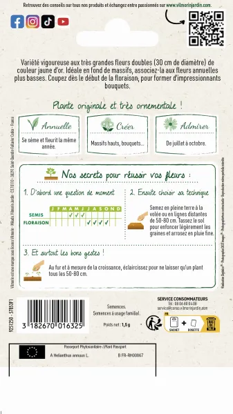 Fleurs - Tournesol Double Géant de Californie - MEDIA_PACKAGING_VERSO