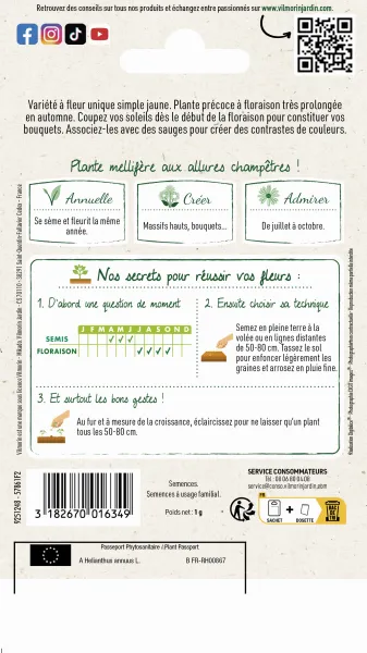 Fleurs - Tournesol Zebulon Pollen Free - MEDIA_PACKAGING_VERSO