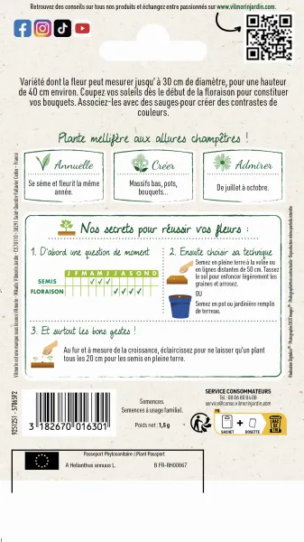 Fleurs - Tournesol Nain Sunspot - MEDIA_PACKAGING_VERSO