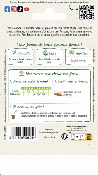 Fleurs - Célosie à Panache Variée - MEDIA_PACKAGING_VERSO