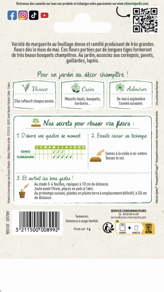 Fleurs - Marguerite Margo - MEDIA_PACKAGING_VERSO