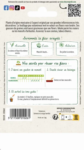 Fleurs - Cléome Rose - MEDIA_PACKAGING_VERSO