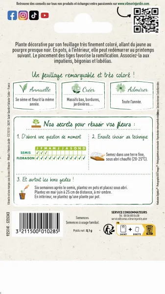 Fleurs - Coléus Arc-en-Ciel Amélioré - MEDIA_PACKAGING_VERSO
