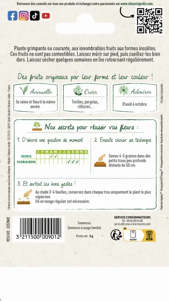 Fleurs - Coloquinte Variée - MEDIA_PACKAGING_VERSO