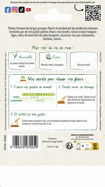 Fleurs - Coquelourde Rose du Ciel - MEDIA_PACKAGING_VERSO
