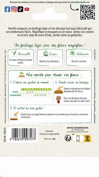 Fleurs - Cosmos Sensation Nain Varié - MEDIA_PACKAGING_VERSO