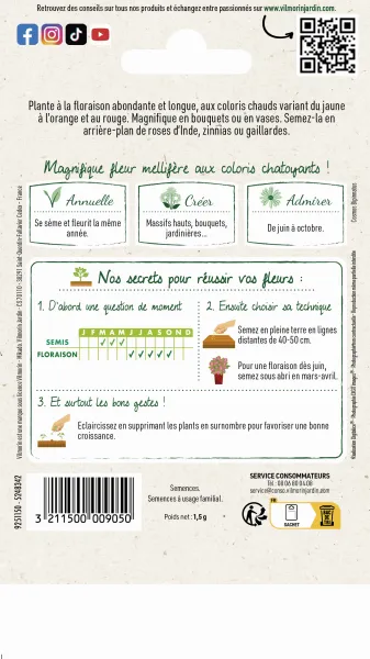 Fleurs - Cosmos Sulphureus Varié - MEDIA_PACKAGING_VERSO
