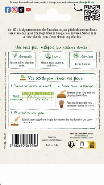 Fleurs - Cosmos Picotée - MEDIA_PACKAGING_VERSO