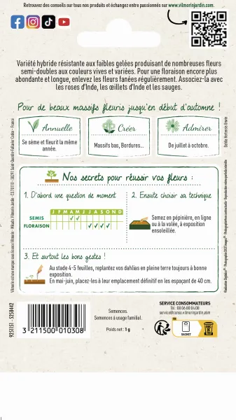 Fleurs - Dahlia Unwin Varié - MEDIA_PACKAGING_VERSO